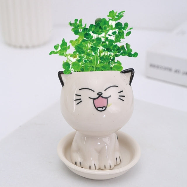 Mini Cat Shaped Ceramic Flowerpot