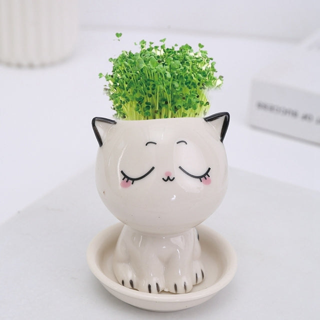 Mini Cat Shaped Ceramic Flowerpot