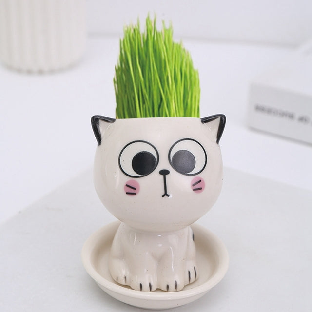 Mini Cat Shaped Ceramic Flowerpot